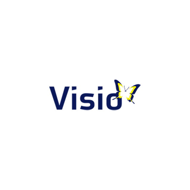 logo visio bij case als interim