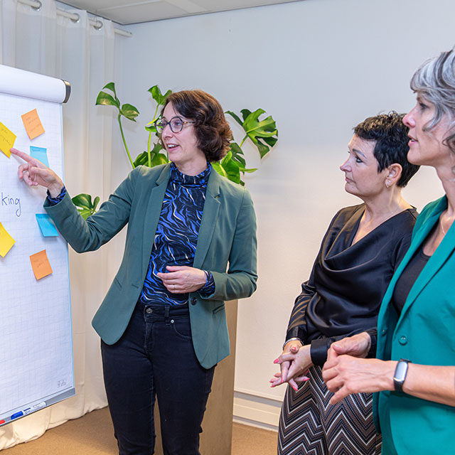 case heisessie als facilitator